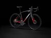 Trek Domane AL 5 44 Lithium Grey to Crimson Fade