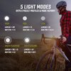 Sigma Lichtset Buster 150 FL & Nugget II Flash schwarz 