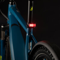 Litemove Rücklicht TS-SP E-Bike 