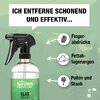 Bio-Chem Glasreiniger 750 ml mit Sprühkopf 