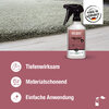 Bio-Chem Polsterreiniger 500 ml mit Sprühkopf 